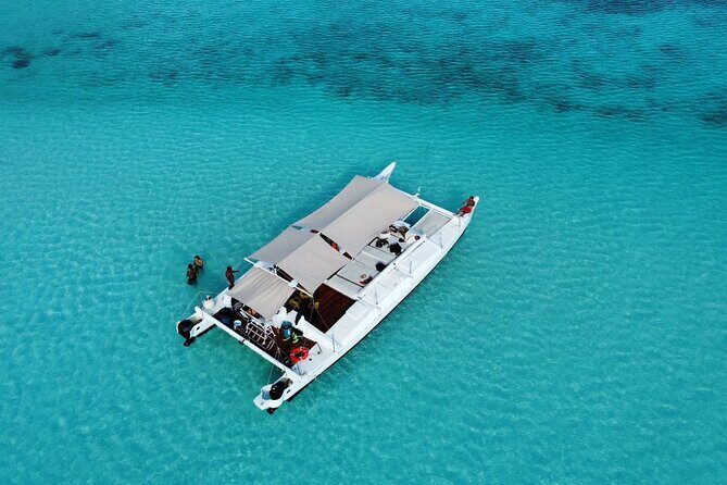 Catamaran Snorkeling to El Cielo and The Money Bar Beach Club - Key highlights at a glance