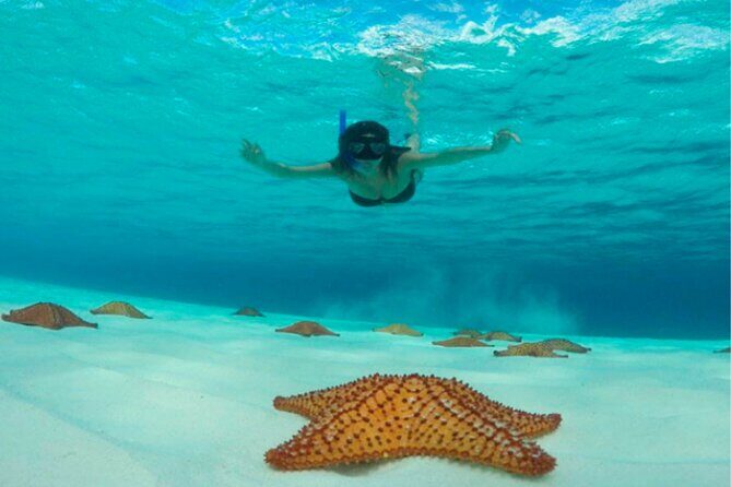 Catamaran Snorkeling to El Cielo and The Money Bar Beach Club - Catamaran comfort: older boat vibes, attentive crew