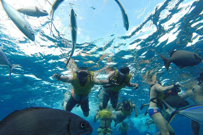 Catamaran Snorkeling to El Cielo and The Money Bar Beach Club - Timing that works for you (and the part that can be tight for cruises)