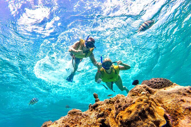 Catamaran Snorkeling to El Cielo and The Money Bar Beach Club - Value check: is $84.99 a good deal?