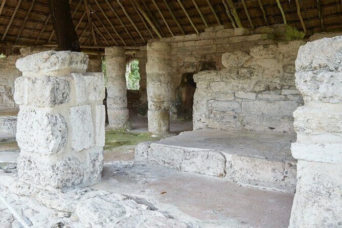 Cenote and Ancient Mayan Ruins Tour with Tequila in Cozumel - Getting around: port pickup points and the 25-minute grace period