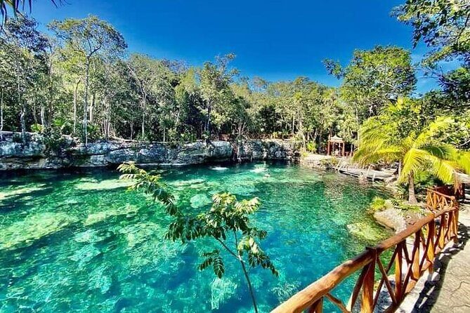 CENOTE DAY! with transportation from Cancun, Playa DC or Tulum - The 1-hour guide intro and then you’re on your own