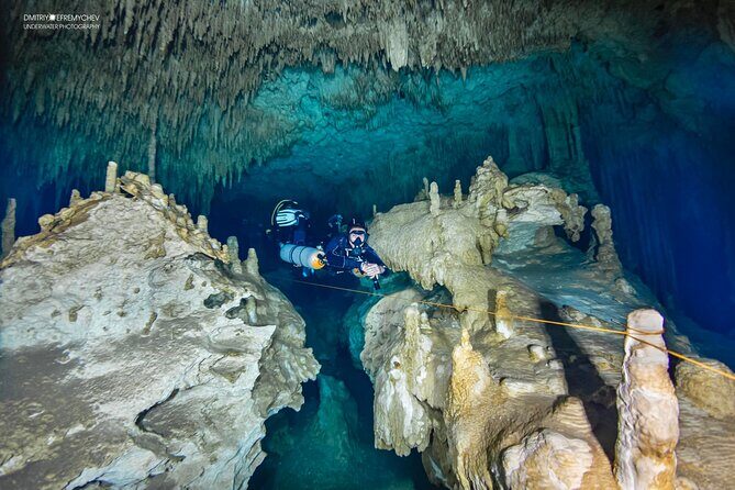 Cenote diving Dream Gate - Dream Gate Cenote: What Makes This Place Different