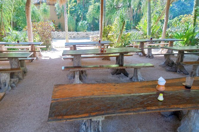 Cenote Tankah 4 Cenotes & Zip-Line Mayan Adventure - Water activities: canoe time, snorkeling questions, and why hammocks matter