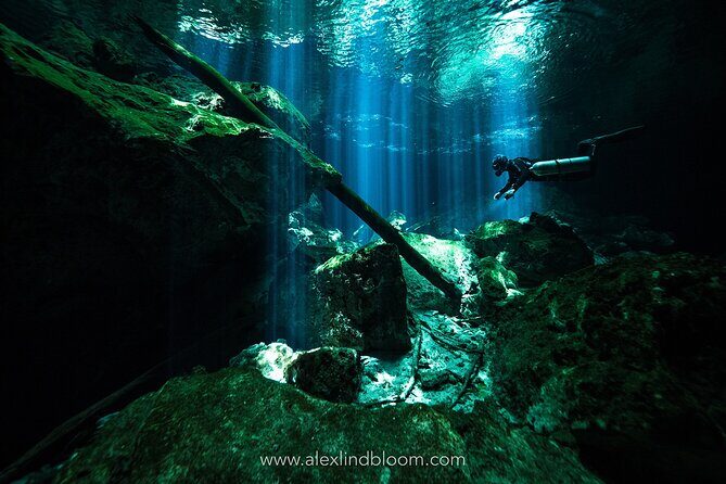 Cenotes 2-Day Scuba Diving Package in the Riviera Maya - Pickups and Timing: How to Avoid Wasted Hours