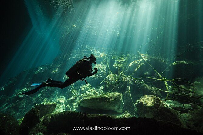 Cenotes 2-Day Scuba Diving Package in the Riviera Maya - Day One Ocean Sessions: Two Reef Tank Times With Real Marine Variety