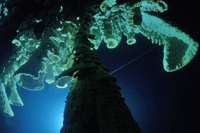 Cenotes 2-Tank Dive in Playa del Carmen/for certified divers only - Why cenotes look the way they do