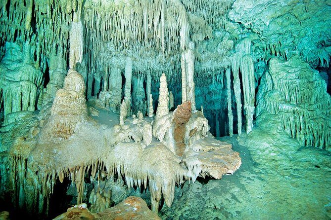Cenotes 2-Tank Dive in Playa del Carmen/for certified divers only - Small-group scuba day in Playa del Carmen (and why it matters)