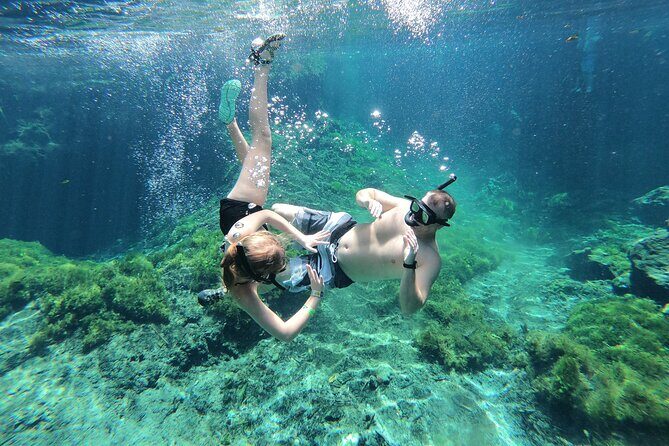 Cenotes by Bike and Mayan Cooking Class Half-Day Guided Tour - The Mayan Pork Cooking Lesson: Cochinita Pibil the Fire-Pot Way