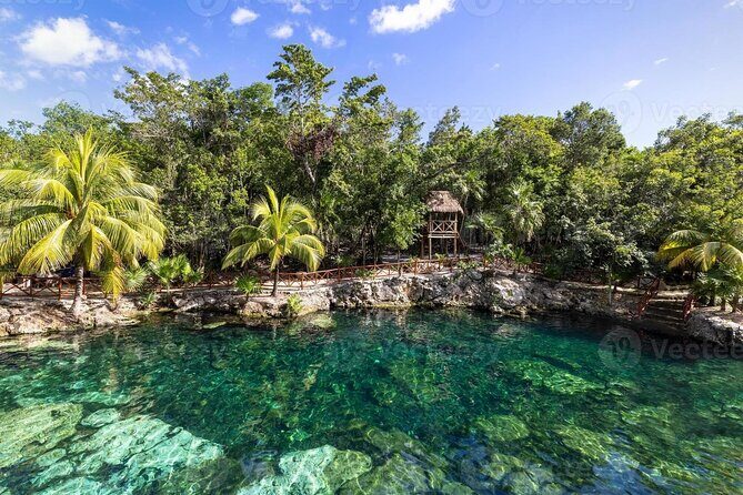 Cenotes Casa Tortuga: 4 Cenotes Day Pass - Key highlights at a glance