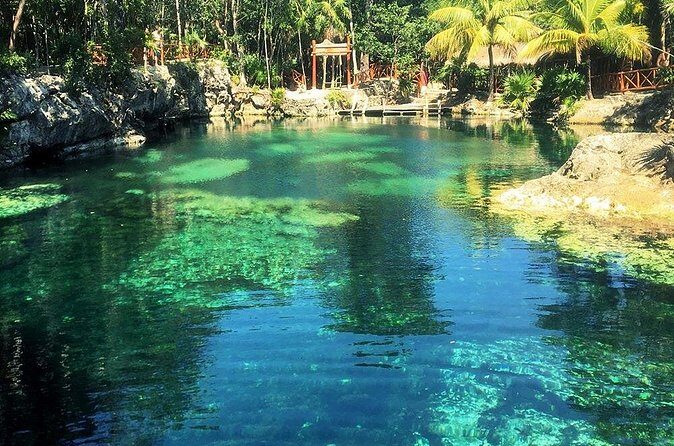 Cenotes Casa Tortuga: 4 Cenotes Day Pass - The guide makes or breaks the day: Hernesto and Carlos’ role