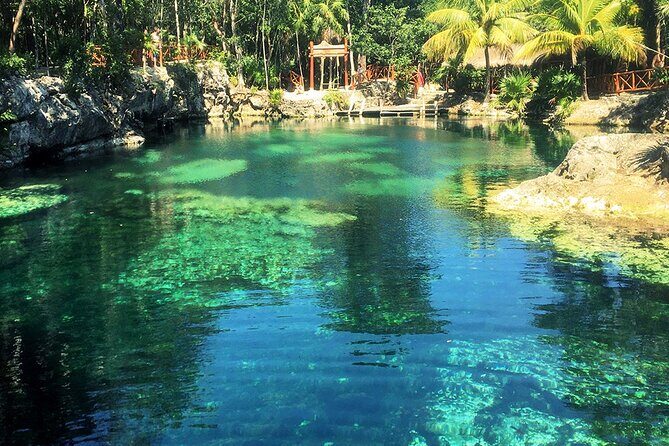 Cenotes Casa Tortuga: 4 Cenotes Day Pass - Food at the end: tasty options, but keep expectations realistic