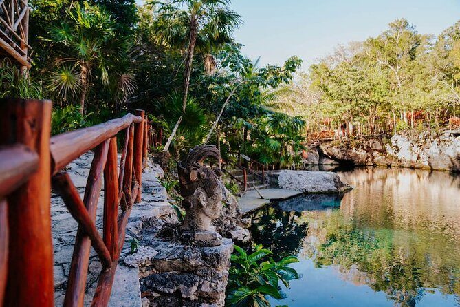 Cenotes Casa Tortuga: 4 Cenotes Day Pass - Your four-cenote circuit: what each stop feels like