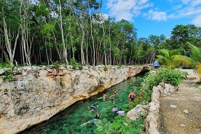 Cenotes Casa Tortuga - La 5ta in Playa del Carmen: Shopping, Beach Plans, and Easy Flex Time