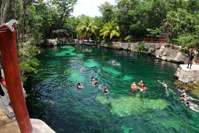 Cenotes Casa Tortuga Guide Tour with Ticket - Who this cenote tour fits best