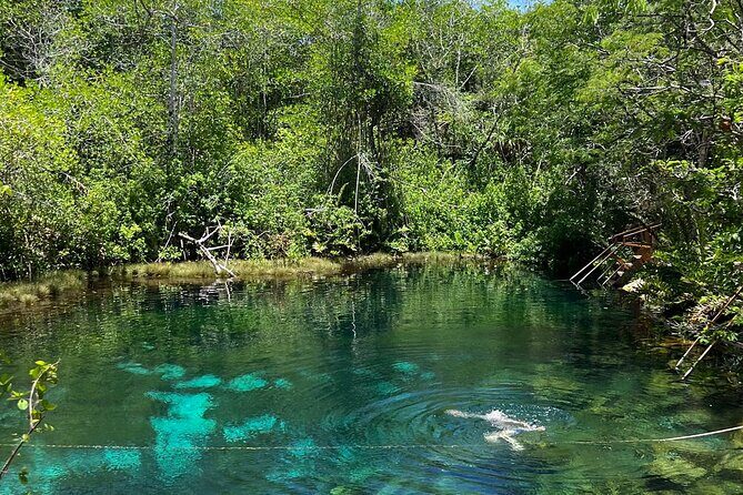 Cenotes Private Tour ( Two Eyes, Jaguar & Nicte-Ha ) - Timing, Weather, and Staying Comfortable for 5 Hours