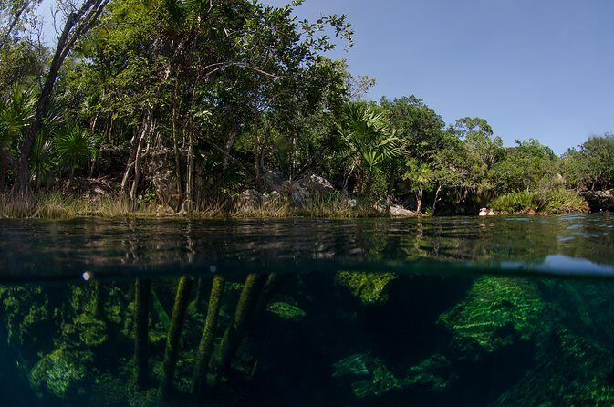 Cenotes snorkeling excursion - Service Reality Check: When Timing Doesn’t Go Perfectly