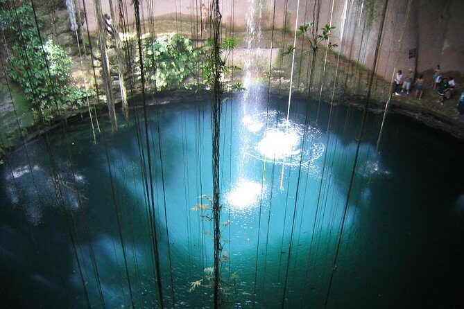 Cenotes snorkeling excursion - The Briefing and Guided Snorkel Sessions