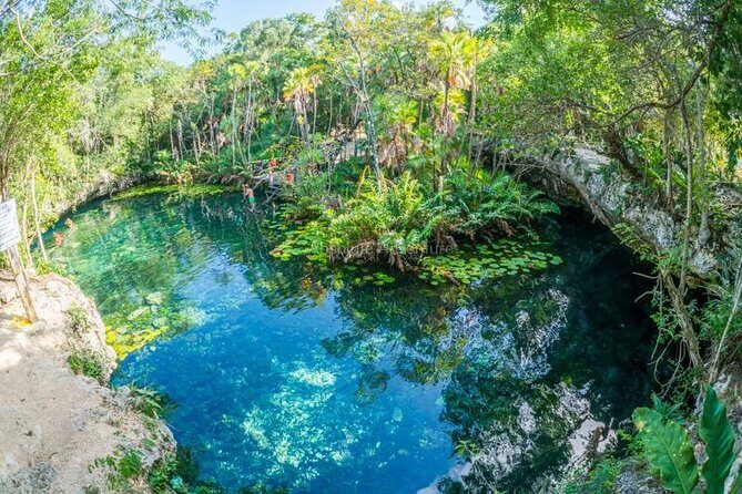 Cenotes Taak Bi Ha & Nicte Ha – VIP Snorkeling Private Tour - Price and Logistics: What $176 Really Buys