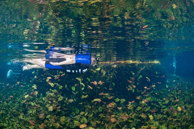 Cenotes Taak Bi Ha & Nicte Ha – VIP Snorkeling Private Tour - What “VIP Private” Feels Like On the Ground