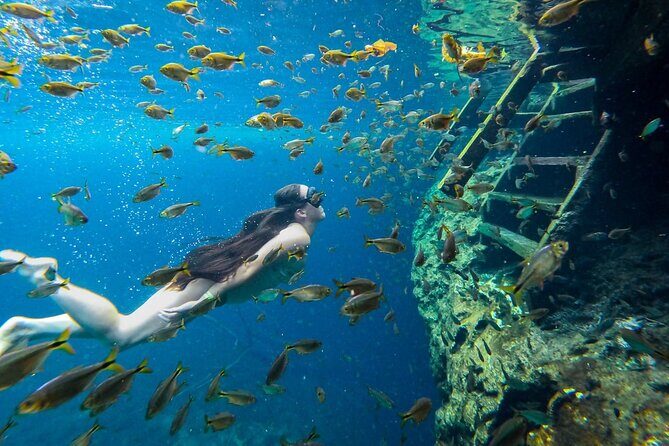 Cenotes Tour: Discover Hidden Gems, from Playa del Carmen - What the Guide Work Actually Does for Your Day