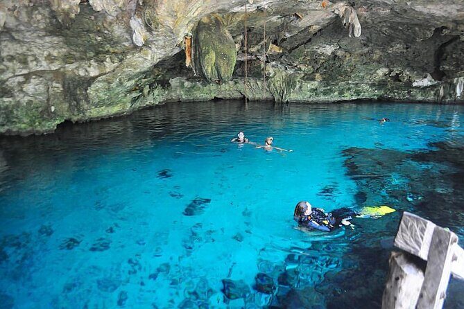 Cenotes Tour: Discover Hidden Gems, from Playa del Carmen - Pickup in Playa del Carmen, Hotel Zone, and the Riviera Maya: Know Your Start Time