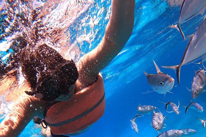 Chankanaab Park Admission +Snorkeling + Lunch included - Chankanaab Park start: beach comfort plus real snorkeling access