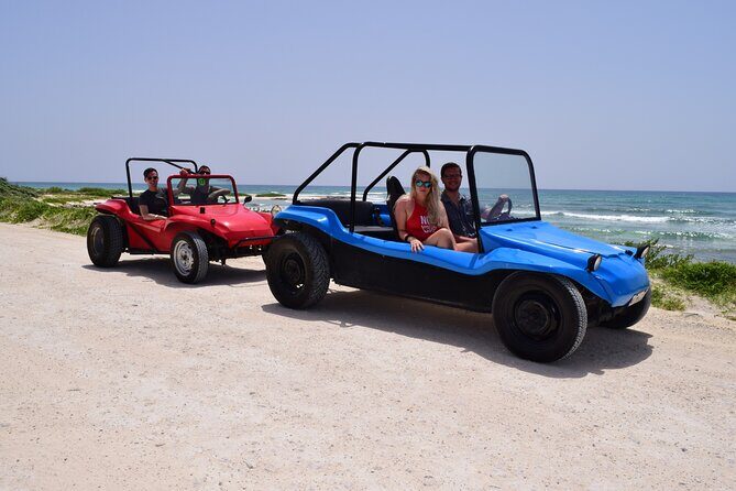 Chankanaab Park and Island Tour by Buggy with Mexican Lunch - Buggy driving and Chankanaab in one 5-hour plan