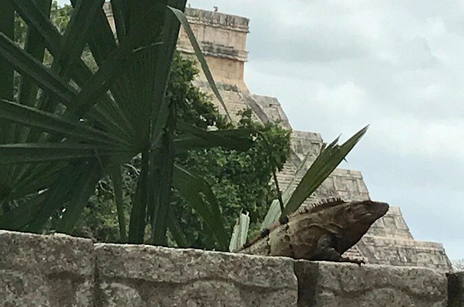 Chichen Itza Private experience - Who this tour is best for (and who should consider another option)