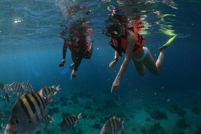 Clear Boat & Snorkel Cozumel Tour with Drinks - Price and What You Get for $37 (Plus the One Extra Cost)