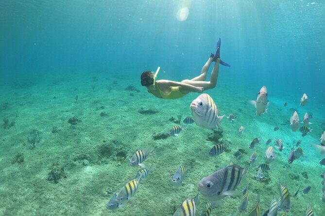 Clear Boat & Snorkel Cozumel Tour with Drinks - Weather Rules: When Rough Water Changes the Day