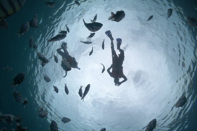 Clear Boat & Snorkel Cozumel Tour with Drinks - Meeting at Av. Rafael E. Melgar 221: Simple Plan for a Smooth Check-In