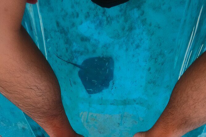 Clear Kayaking, Sea Scooters Adventure - Yamaha Sea Scooters: Snorkeling With Less Work (About 1 Mile)