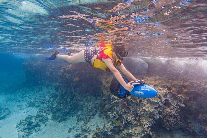 Clear Kayaking, Sea Scooters Adventure - What You’ll Likely See: Fish, Coral, and Underwater Footage