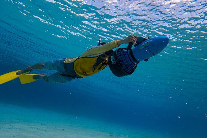 Clear Kayaking, Sea Scooters Adventure - Price and Value: Is $79 Worth It?