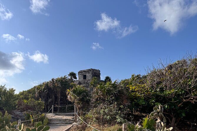 Coba and Tulum 2 Cenotes 100% Private Tour - Taak Bi Ha cenote: underground swimming in quiet, clear water
