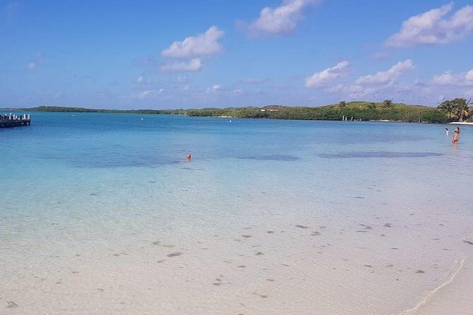 Contoy Island - Isla Contoy National Park: Wildlife Rules and the Best Views