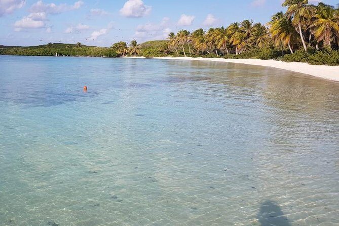 Contoy Island - Second Contoy Snorkel Stop: Clear Water and Marine Life Time
