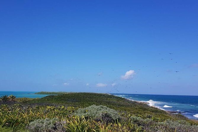 Contoy Island - Group Size, Atmosphere, and How the Day Stays Manageable
