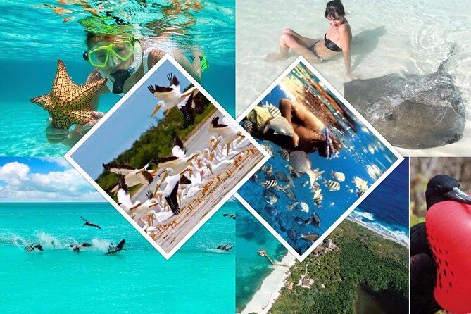 Contoy Island - Getting There From Playa del Carmen: Pickup Reality Check