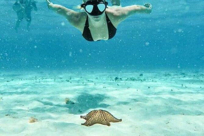 Cozumel 4 Hour Boat Sky Tour - Key highlights to know before you go