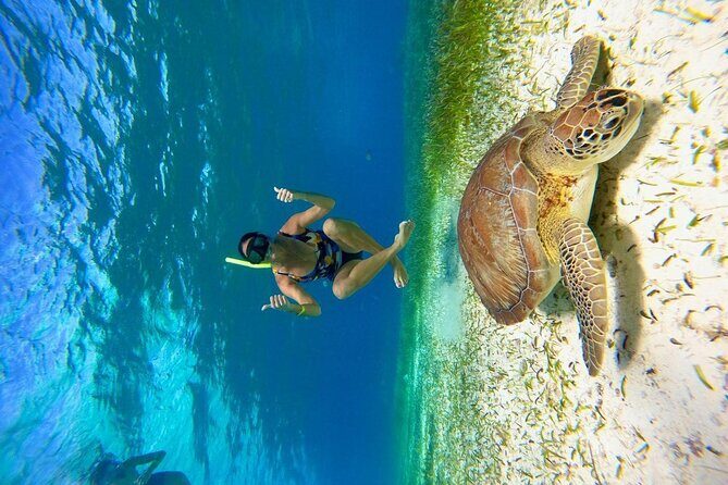 Cozumel 4 Hour Boat Sky Tour - Stop 4: El Cielito sand bank (why the waist-deep sand time is a nice closer)