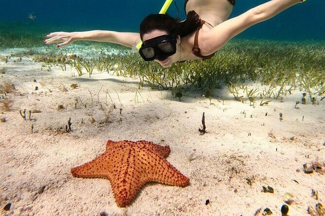 Cozumel 4 Hour Boat Sky Tour - Photos and souvenirs: enjoy the moment, but control the budget