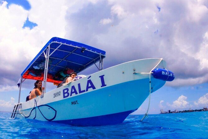 Cozumel 4-Hour Private Trip to Heaven - Key Highlights You’ll Care About