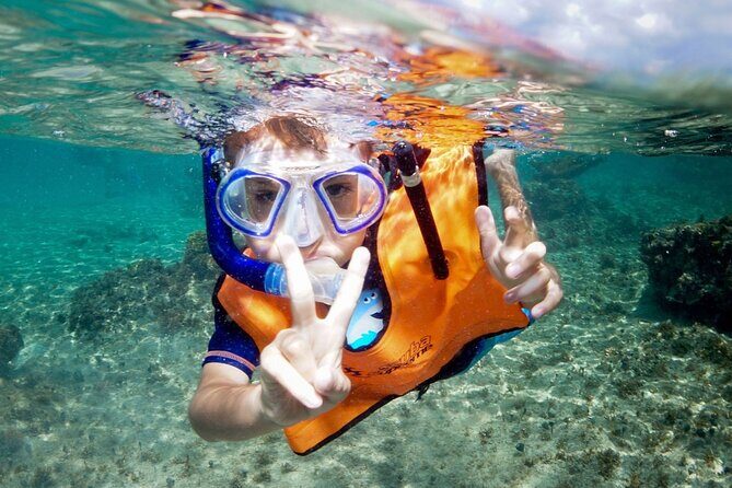 Cozumel 4-Hour Private Trip to Heaven - Reef Snorkeling on Cozumel: Gear, Time, and Marine Life Odds