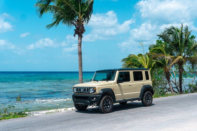 Cozumel 4x4 Adventure Punta Sur and Virgin Beach All Inclusive - Key Things You’ll Notice on This Cozumel 4x4 + Beach Day