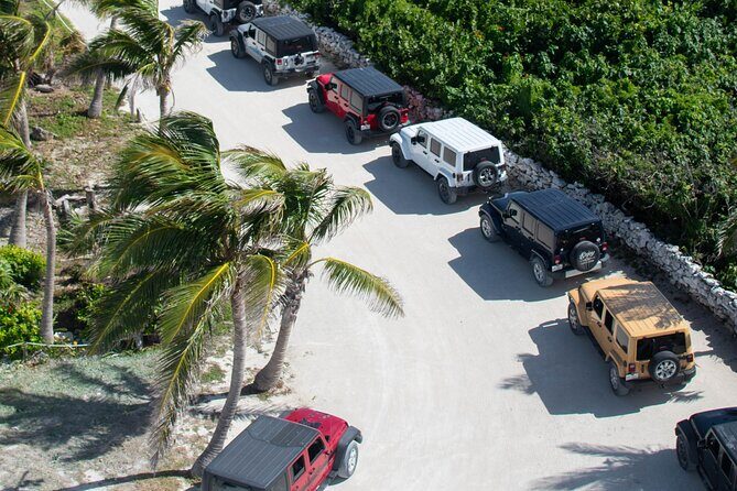 Cozumel 4x4 Adventure Punta Sur and Virgin Beach All Inclusive - Guides and the vibe: Marco, Gizmo, Reyes, Javier, and Julio