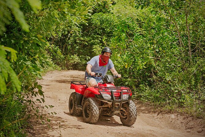Cozumel ATV Jungle Small Group Guided Ride - The small-group advantage: 8 riders changes the whole experience