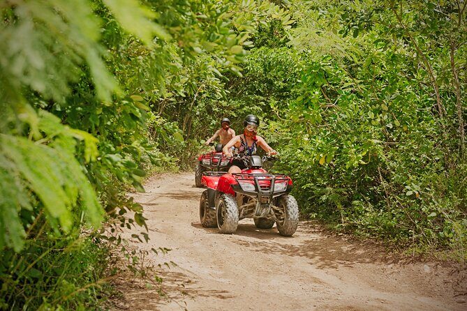 Cozumel ATV Jungle Small Group Guided Ride - Wildlife, birds, and flora: how to actually enjoy the “tropical” part
