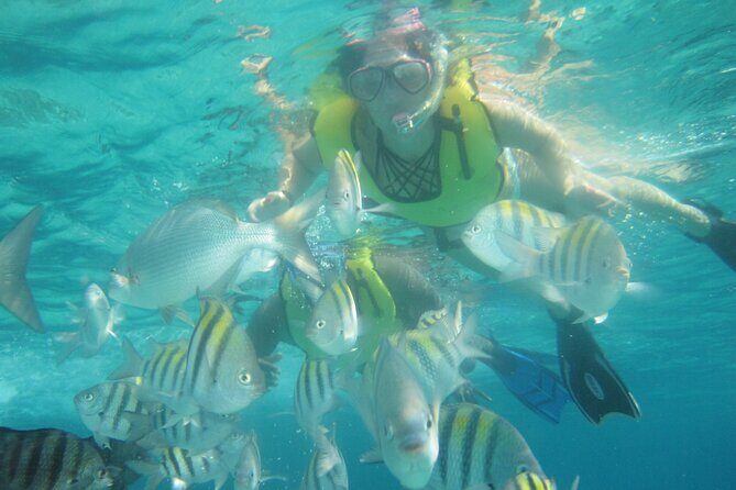 Cozumel Beach + Snorkeling Time - Comfort perks at Money Bar: chairs, umbrellas, and time to reset